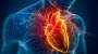 Herz-Medizin: „Mit Prävention können wir tausende Menschen retten“ | Leben & Wissen | BILD.de